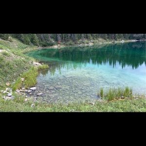 Meet your Posher, Avery